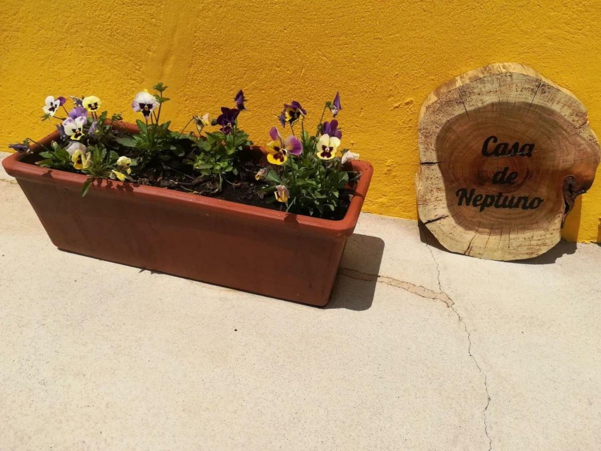 Casa Neptuno Villa Rabo de Peixe Eksteriør bilde